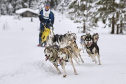 Kandersteg 2014 WM