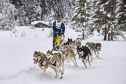 Kandersteg 2014 WM