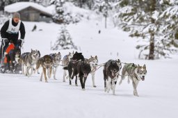 Kandersteg 2014 WM