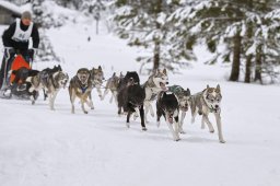 Kandersteg 2014 WM