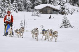 Kandersteg 2014 WM