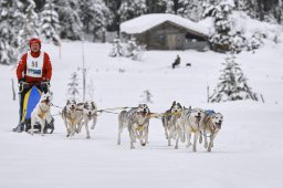 Kandersteg 2014 WM