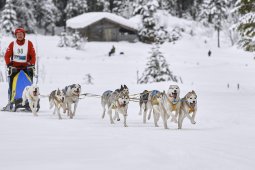 Kandersteg 2014 WM