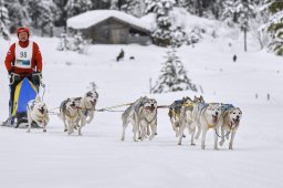 Kandersteg 2014 WM