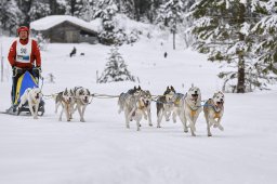 Kandersteg 2014 WM