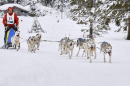 Kandersteg 2014 WM