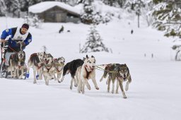 Kandersteg 2014 WM