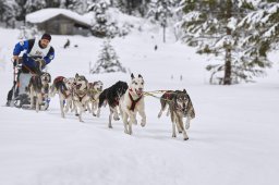 Kandersteg 2014 WM