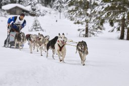 Kandersteg 2014 WM