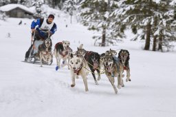 Kandersteg 2014 WM