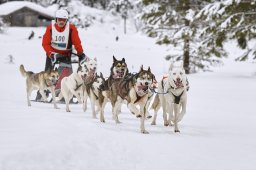 Kandersteg 2014 WM