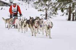 Kandersteg 2014 WM