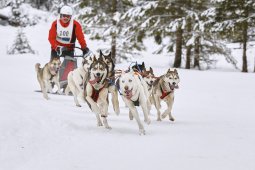 Kandersteg 2014 WM