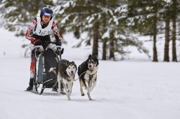 Kandersteg 2014 WM