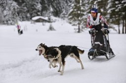 Kandersteg 2014 WM