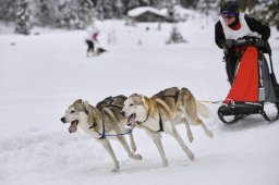 Kandersteg 2014 WM