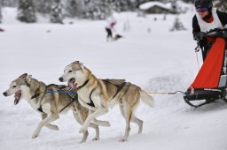 Kandersteg 2014 WM