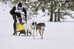 Kandersteg 2014 WM