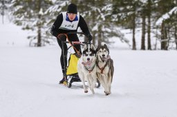 Kandersteg 2014 WM