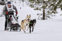 Kandersteg 2014 WM