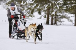 Kandersteg 2014 WM