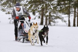 Kandersteg 2014 WM