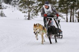 Kandersteg 2014 WM