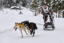 Kandersteg 2014 WM