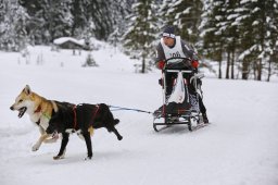 Kandersteg 2014 WM