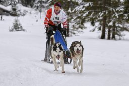 Kandersteg 2014 WM