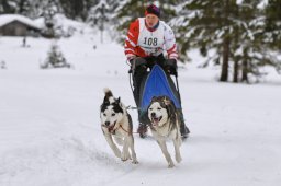 Kandersteg 2014 WM