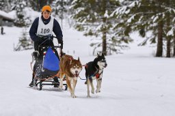 Kandersteg 2014 WM