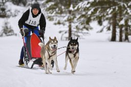 Kandersteg 2014 WM