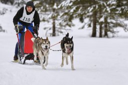 Kandersteg 2014 WM