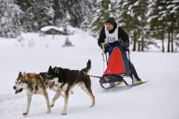 Kandersteg 2014 WM