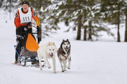 Kandersteg 2014 WM