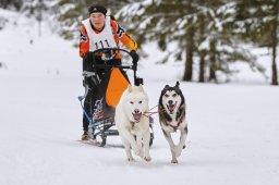 Kandersteg 2014 WM