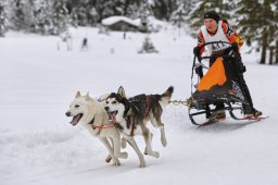 Kandersteg 2014 WM