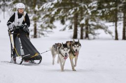 Kandersteg 2014 WM