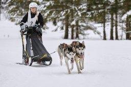 Kandersteg 2014 WM