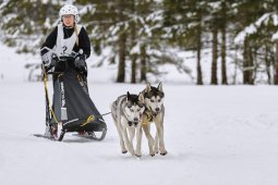 Kandersteg 2014 WM