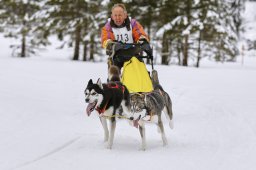 Kandersteg 2014 WM