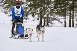 Kandersteg 2014 WM