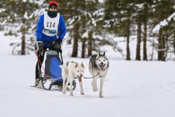 Kandersteg 2014 WM