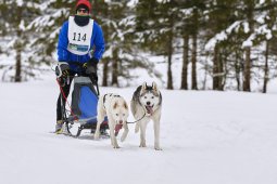 Kandersteg 2014 WM