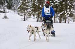 Kandersteg 2014 WM