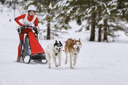 Kandersteg 2014 WM