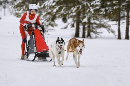 Kandersteg 2014 WM