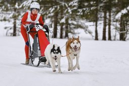 Kandersteg 2014 WM