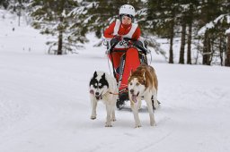 Kandersteg 2014 WM